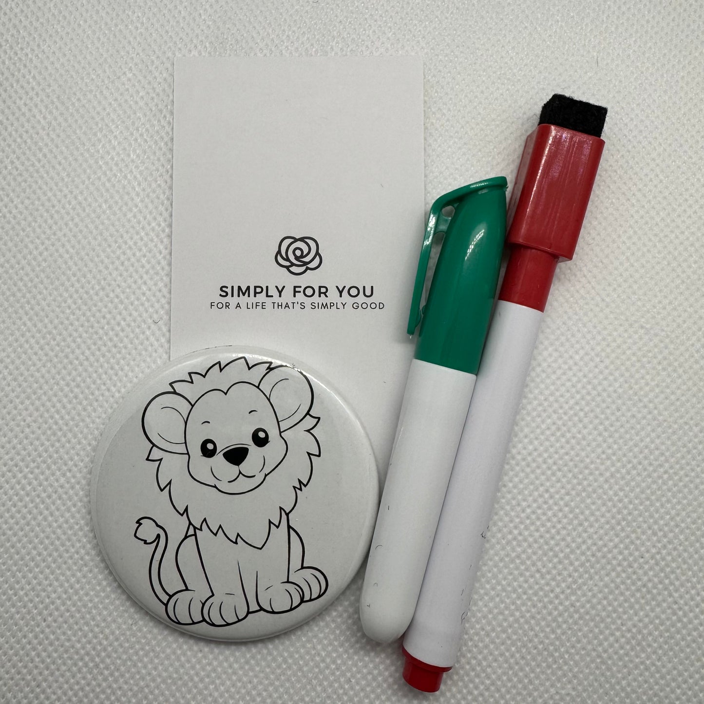 Coloring Magnets Kits for Kids